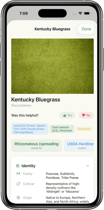 Grass Identifier App Interface